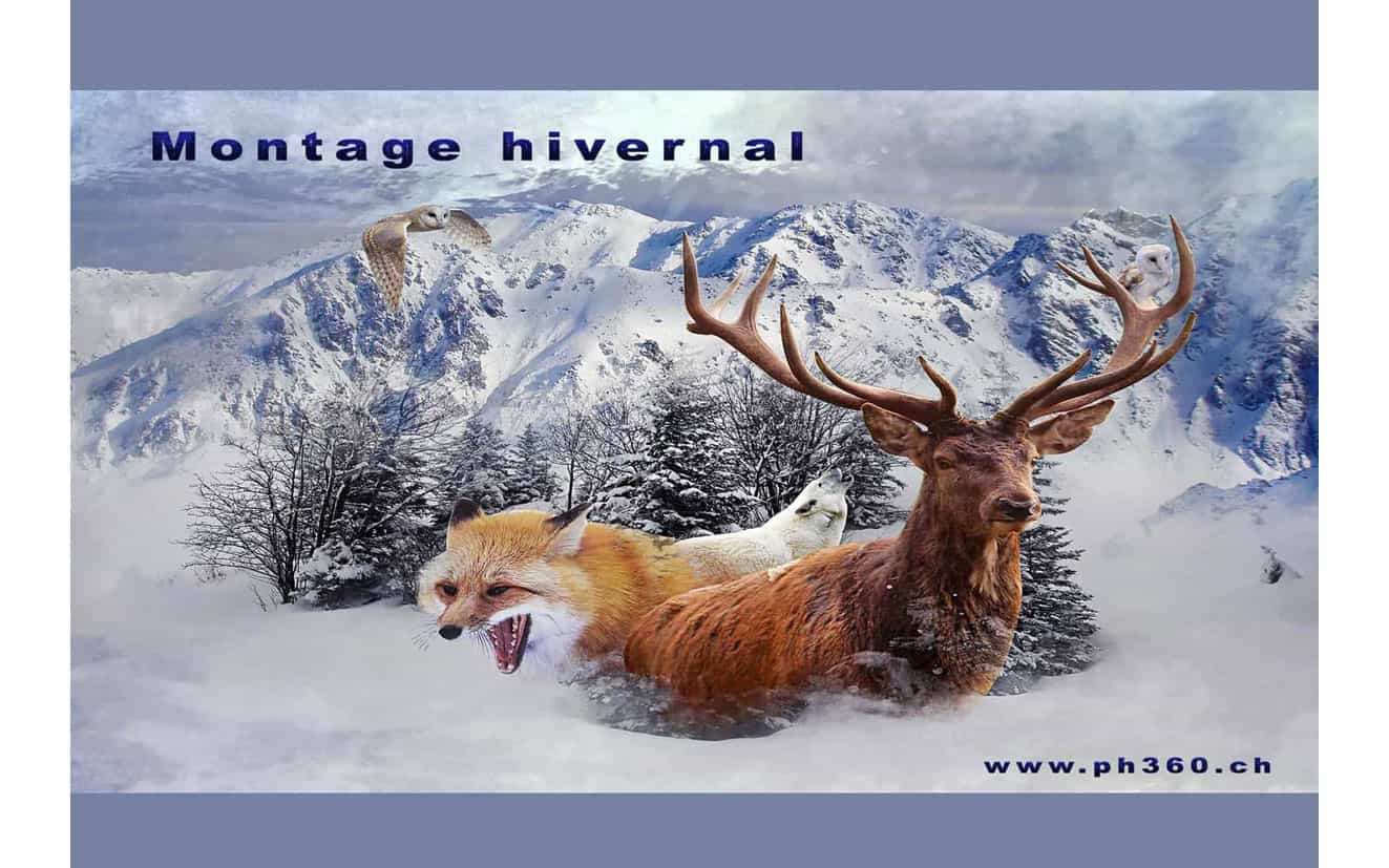 Montage hivernal