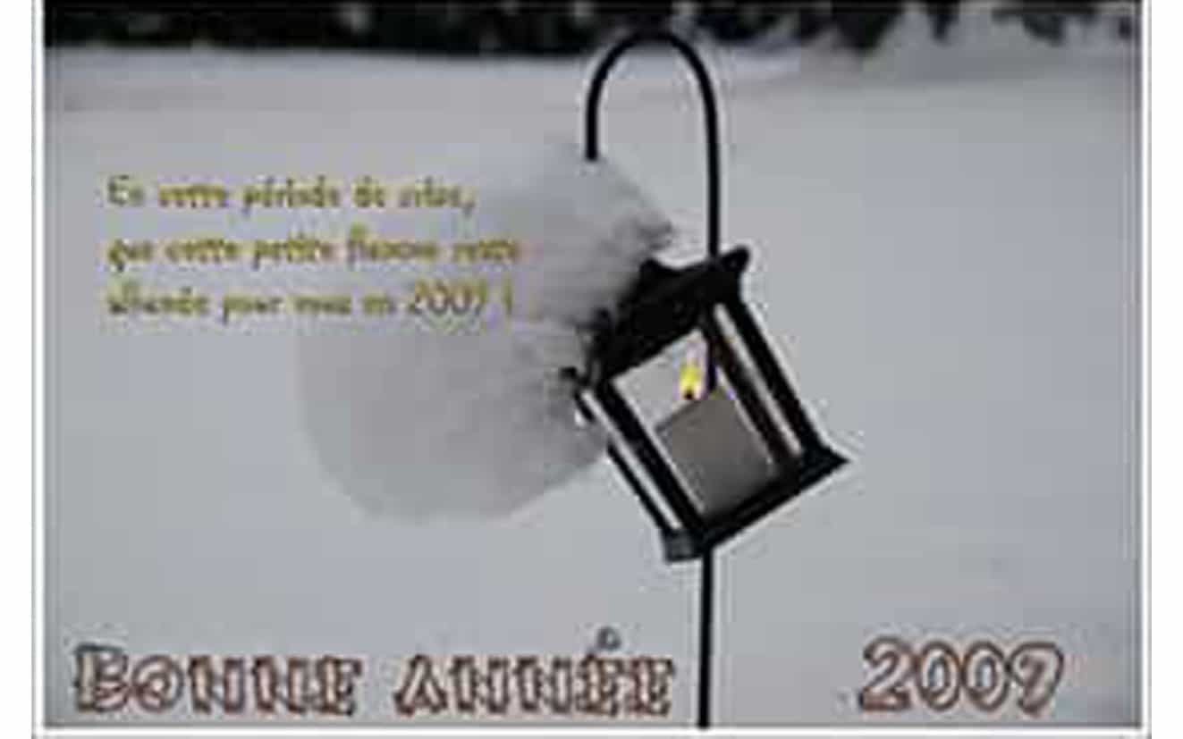 Voeux 2009