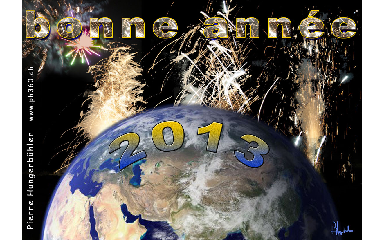Voeux 2013